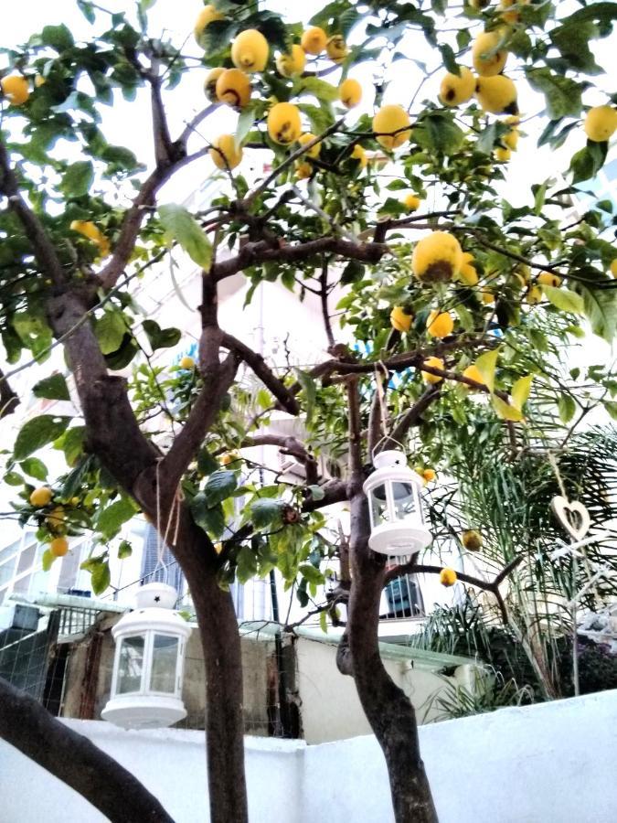 Willkommen In Einem Private Garden Барі Екстер'єр фото