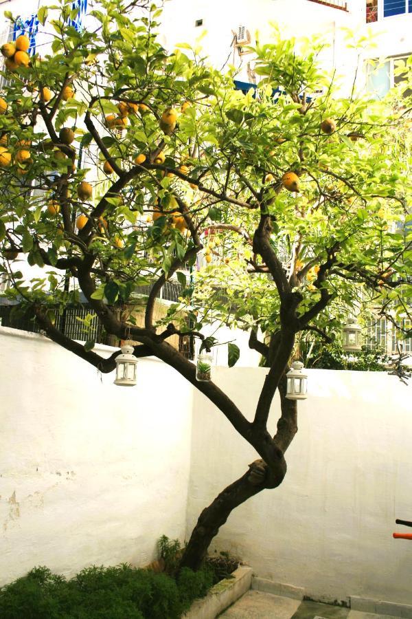 Willkommen In Einem Private Garden Барі Екстер'єр фото